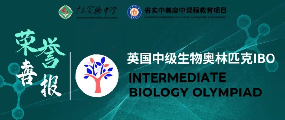 华南最高分！3项IBO全球金奖，晋级CHINA CAMP彰显实力