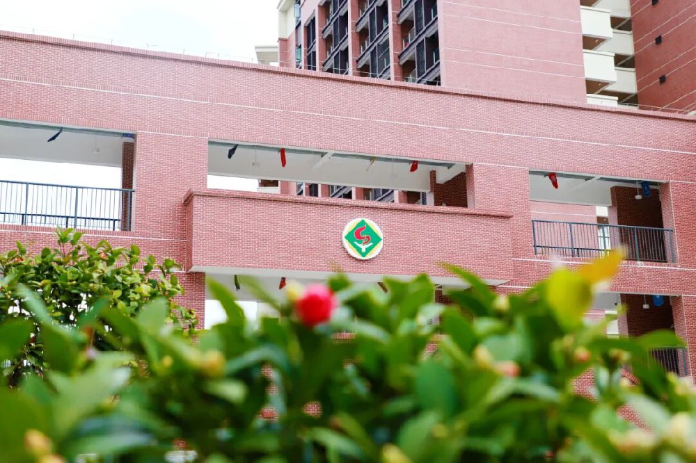 【官方通知】省实AP1月10日校园体验日指南