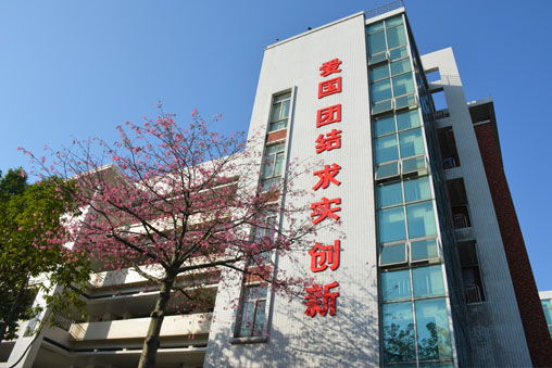 学校校园环境